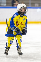 Klik for at se eller bestil foto