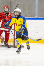 Klik for at se eller bestil foto