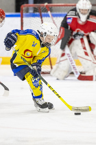 Klik for at se eller bestil foto