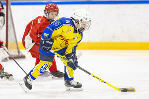 Klik for at se eller bestil foto