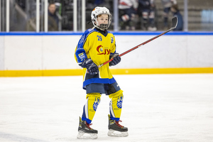 Klik for at se eller bestil foto