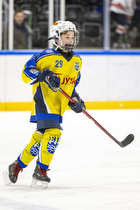 Klik for at se eller bestil foto