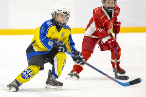 Klik for at se eller bestil foto