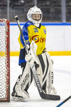 Klik for at se eller bestil foto