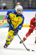 Klik for at se eller bestil foto