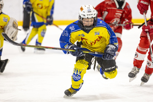 Klik for at se eller bestil foto