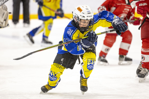 Klik for at se eller bestil foto