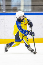 Klik for at se eller bestil foto