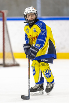 Klik for at se eller bestil foto