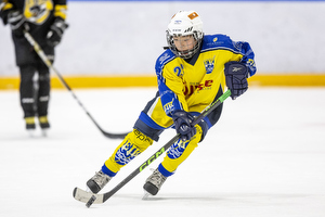 Klik for at se eller bestil foto