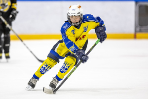 Klik for at se eller bestil foto