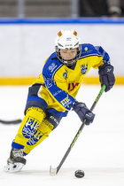 Klik for at se eller bestil foto