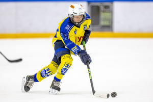 Klik for at se eller bestil foto