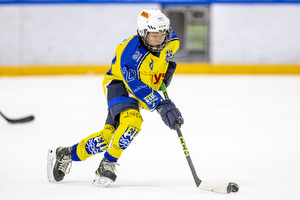 Klik for at se eller bestil foto