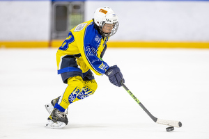 Klik for at se eller bestil foto