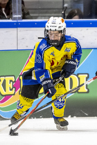 Klik for at se eller bestil foto