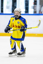 Klik for at se eller bestil foto