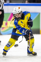 Klik for at se eller bestil foto