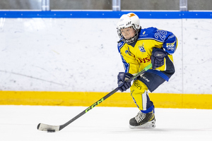 Klik for at se eller bestil foto