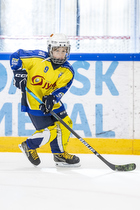 Klik for at se eller bestil foto