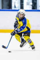 Klik for at se eller bestil foto