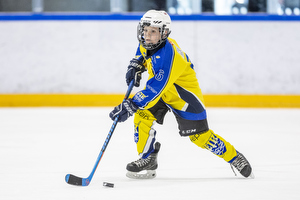 Klik for at se eller bestil foto