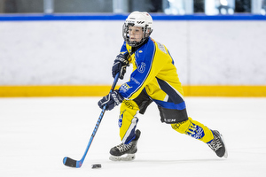 Klik for at se eller bestil foto