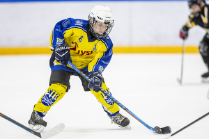 Klik for at se eller bestil foto