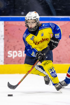 Klik for at se eller bestil foto