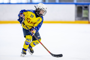 Klik for at se eller bestil foto