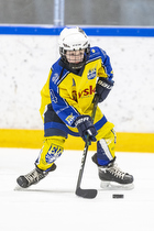 Klik for at se eller bestil foto