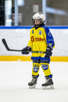 Klik for at se eller bestil foto