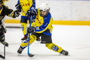 Klik for at se eller bestil foto