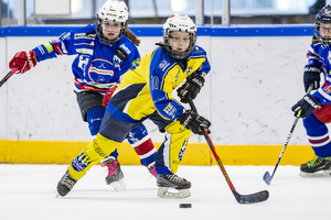 Klik for at se eller bestil foto