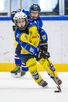 Klik for at se eller bestil foto