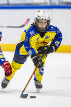 Klik for at se eller bestil foto