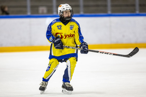 Klik for at se eller bestil foto