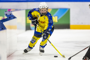 Klik for at se eller bestil foto