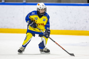 Klik for at se eller bestil foto