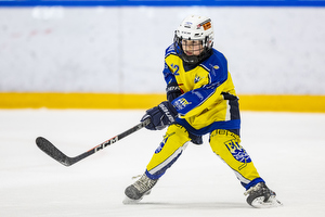 Klik for at se eller bestil foto