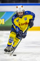 Klik for at se eller bestil foto