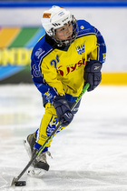 Klik for at se eller bestil foto