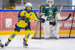 Klik for at se eller bestil foto