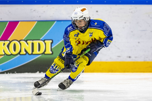 Klik for at se eller bestil foto