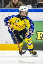 Klik for at se eller bestil foto