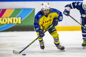 Klik for at se eller bestil foto