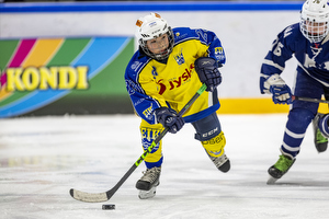 Klik for at se eller bestil foto