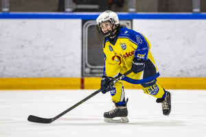 Klik for at se eller bestil foto