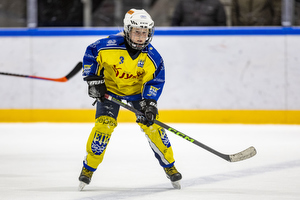 Klik for at se eller bestil foto