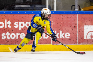 Klik for at se eller bestil foto